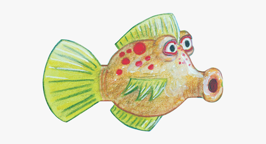 Goldfish, HD Png Download, Free Download