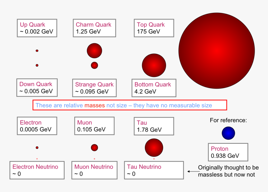 The Comparative Masses Of The Fundamental Particles - Size Of Quark Compared To Electron, HD Png Download, Free Download