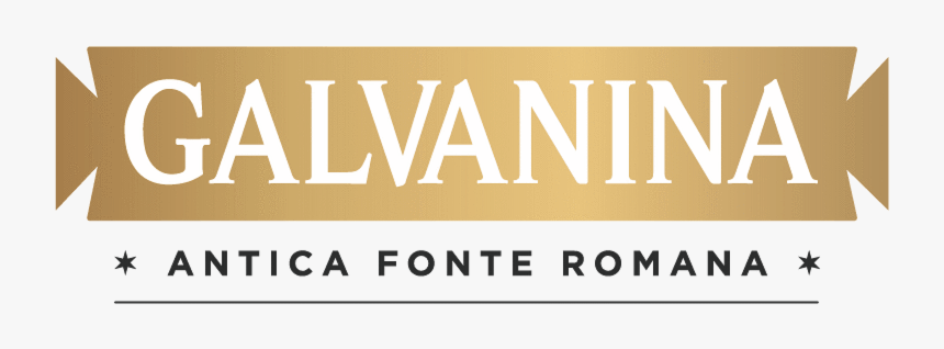 Galvanina Logo, HD Png Download, Free Download