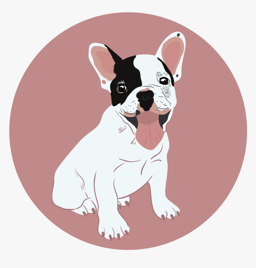 Frenchbulldog - French Bulldog, HD Png Download, Free Download