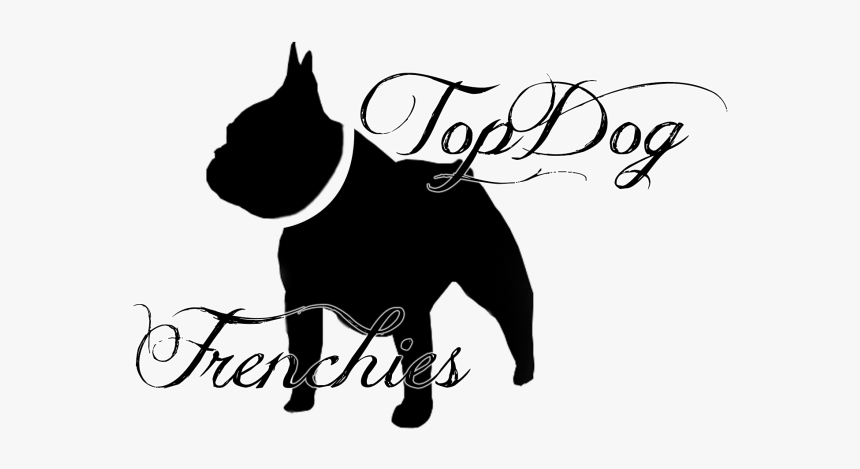 Topdog French Bulldogs Frenchies For Sale Puppies - Guard Dog, HD Png Download, Free Download