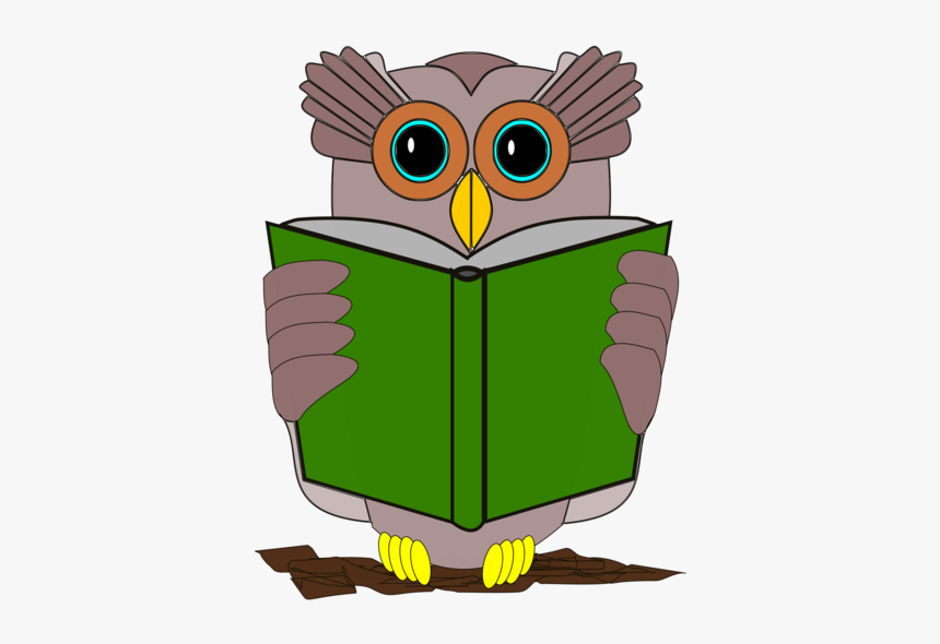Owl,vertebrate,bird - Con Chim Đọc Sách, HD Png Download, Free Download