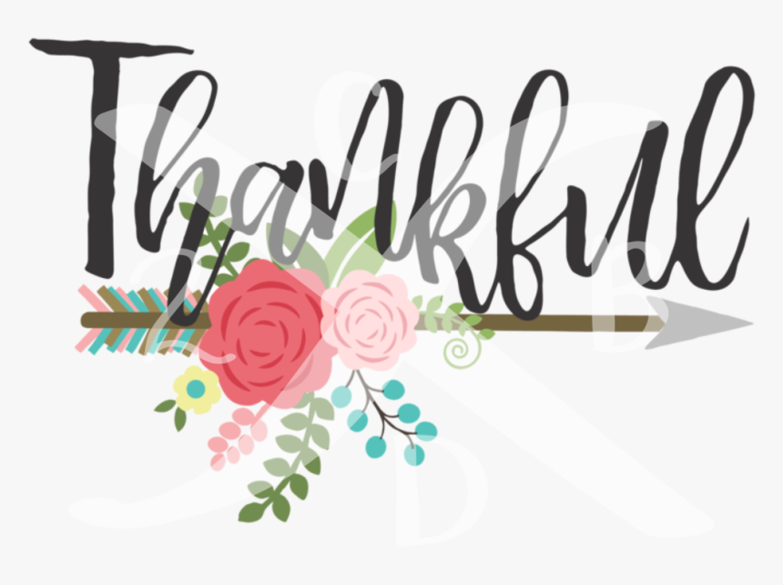 Thankful1 - Garden Roses, HD Png Download, Free Download