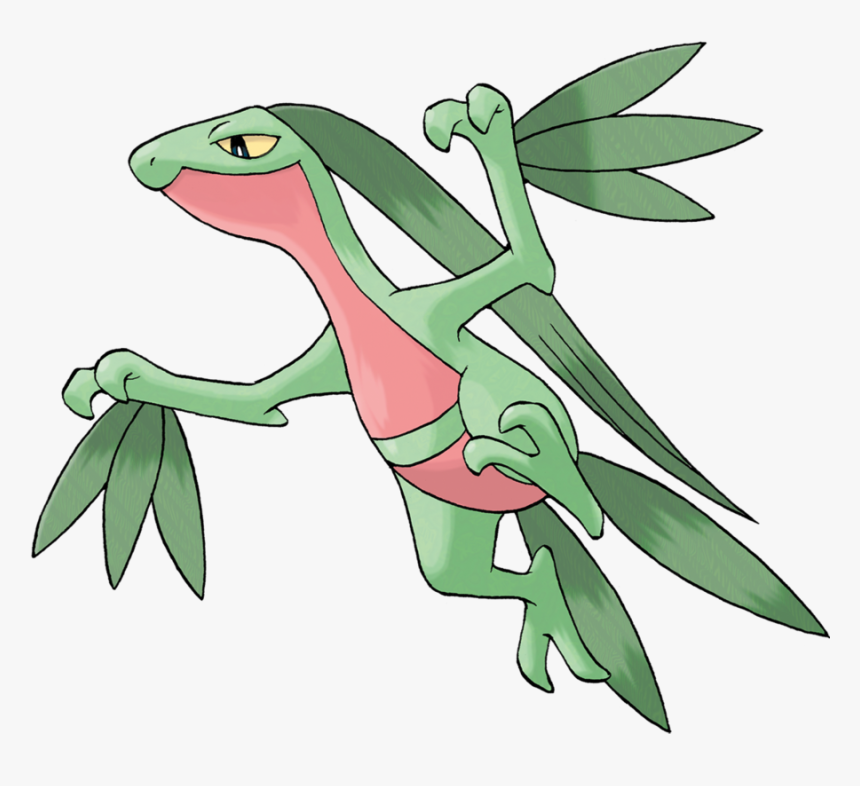 Pokemon Grovyle, HD Png Download, Free Download