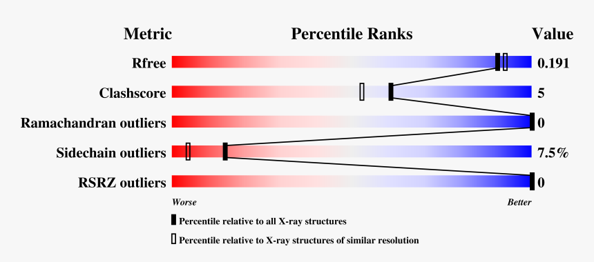 Parallel, HD Png Download, Free Download