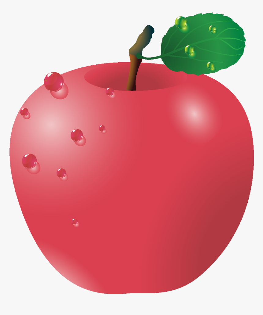 Vector Hand Drawn Fresh Organic Red Apple - Vector Graphics, HD Png Download, Free Download