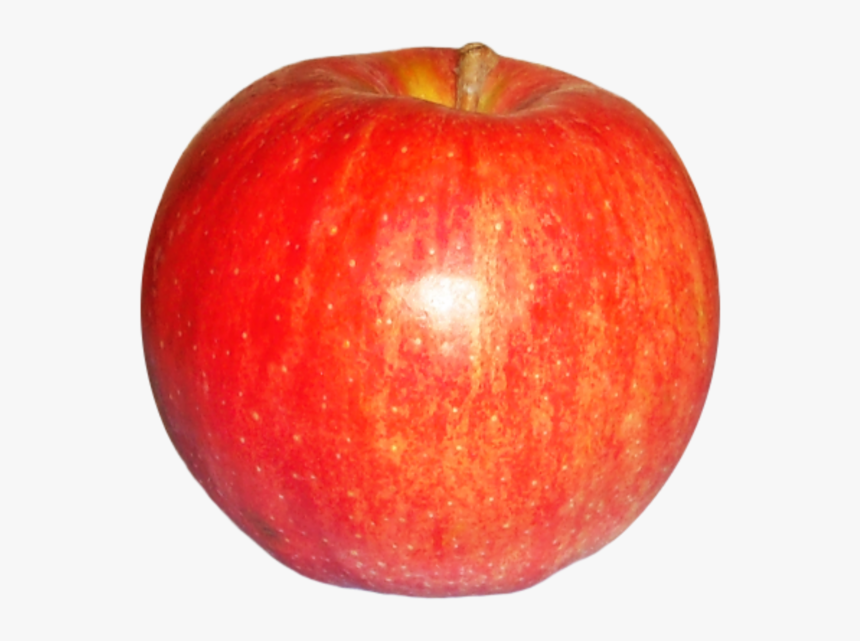 Red Apple Png Download - Mcintosh, Transparent Png, Free Download