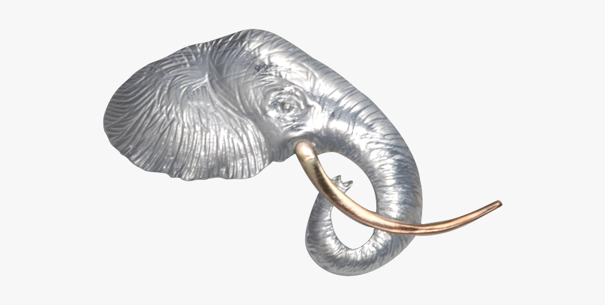 P0841-sb0 - Indian Elephant, HD Png Download, Free Download