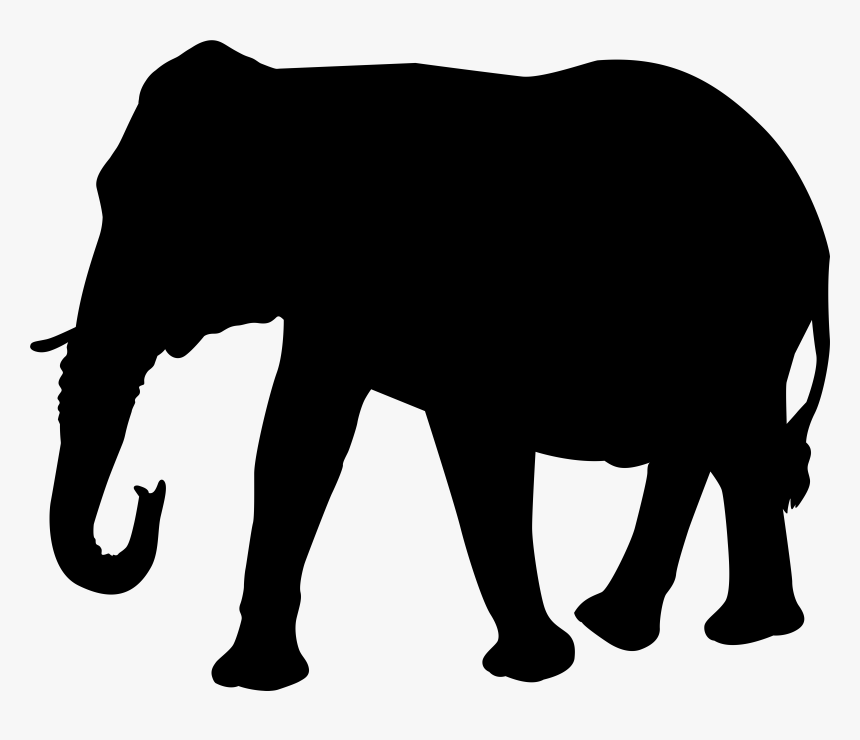 Elephant Head Png For Kids , Png Download, Transparent Png, Free Download