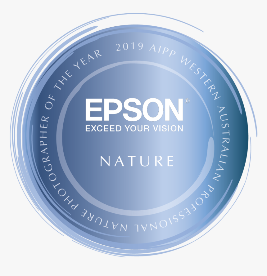 Epson, HD Png Download, Free Download