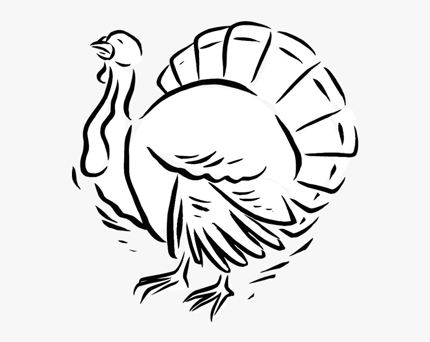 Turkey Coloring Page - Turkey, HD Png Download, Free Download