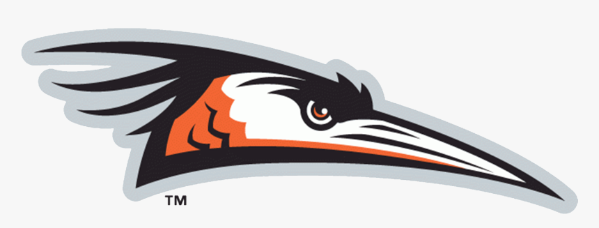 Delmarva Shorebirds Logo - Delmarva Shorebirds, HD Png Download, Free Download