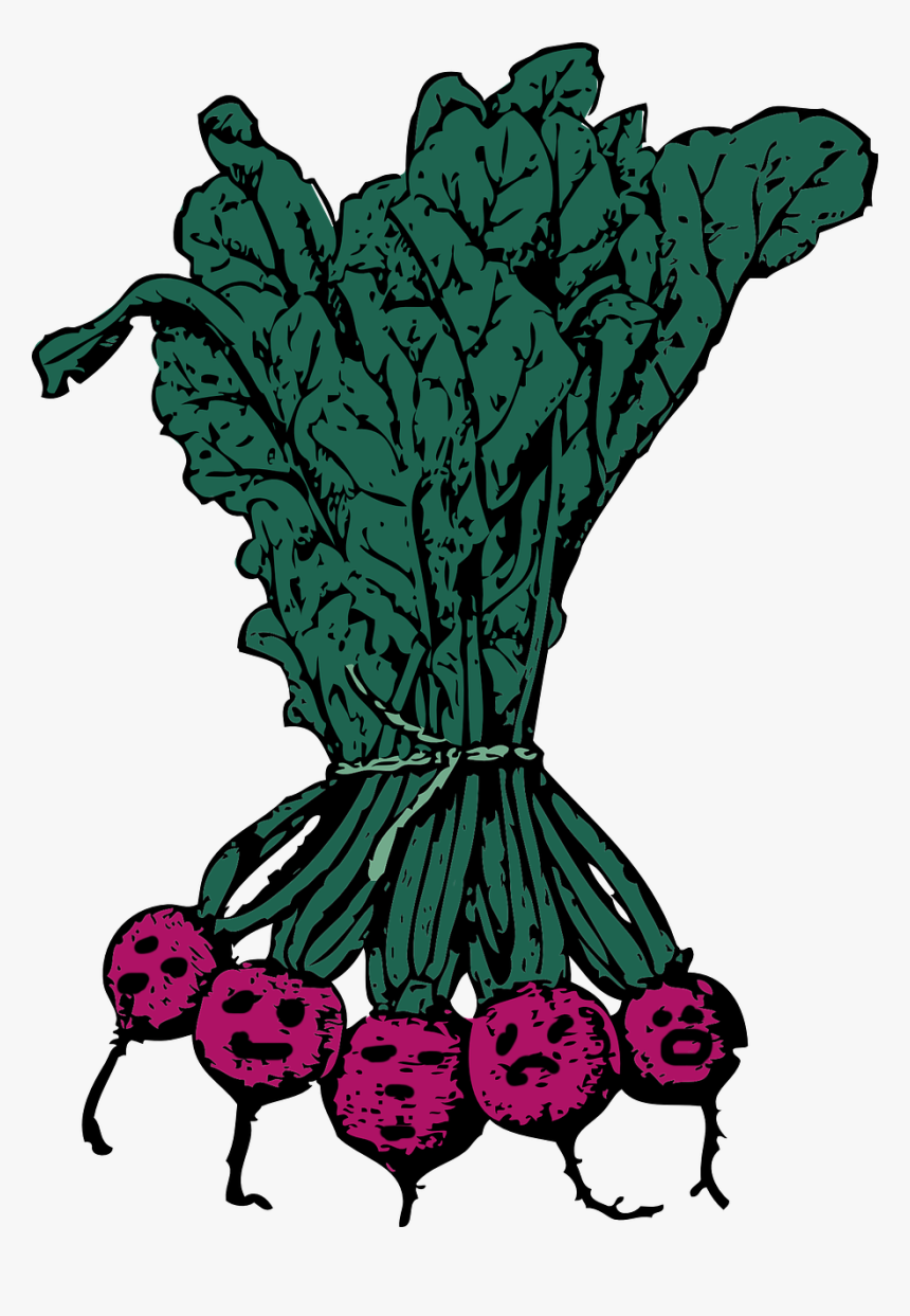 Beets Clip Art, HD Png Download, Free Download