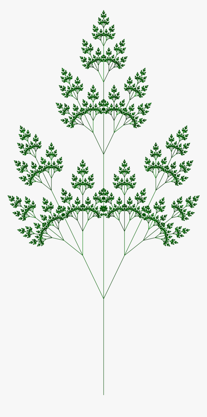 Fractal Plant 2 - Systems, HD Png Download, Free Download