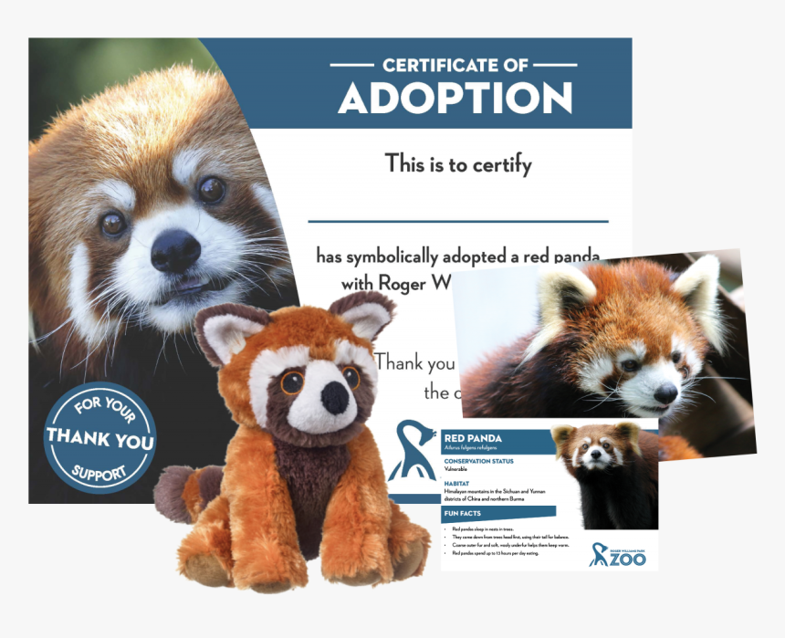 Adoption Of Cheetah, HD Png Download, Free Download