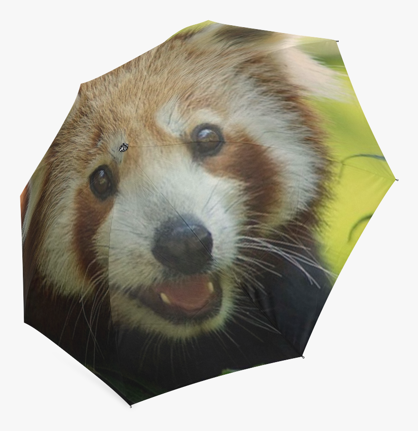Red Panda Foldable Umbrella, HD Png Download, Free Download