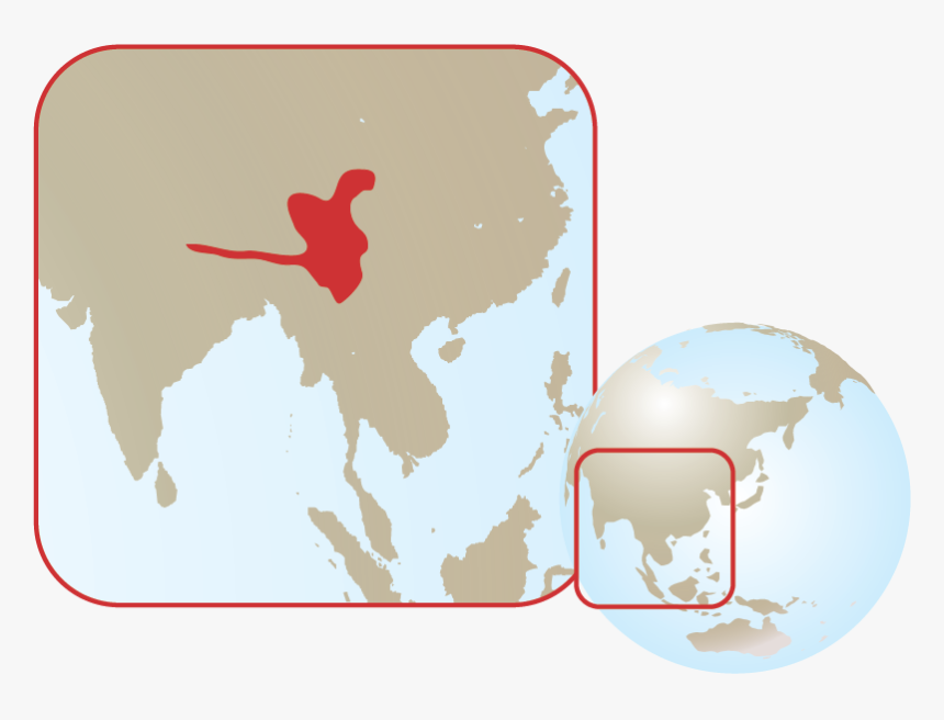 Asia Map Pink Png, Transparent Png, Free Download