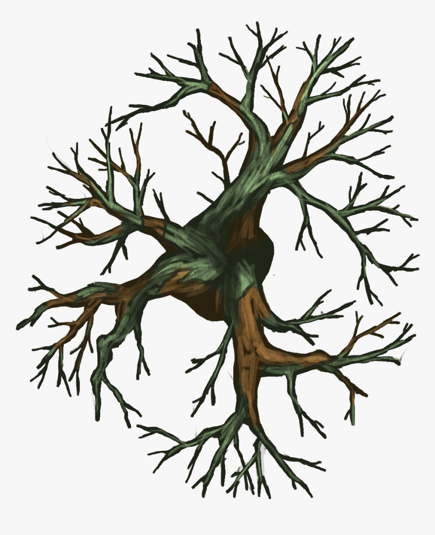 Np04 Treedecid 40x35[nature, Evil Tree, Tree, Leafless, HD Png Download, Free Download