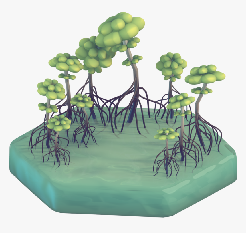 Have A Mangrove Swamp For Day 6 Making The Water Materials - Illustration, HD Png Download, Free Download