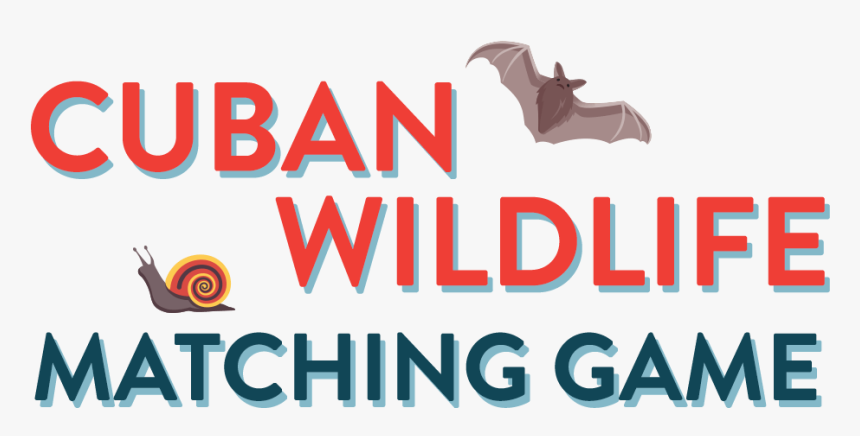 Cuban Wildlife Matching Game - Graphic Design, HD Png Download, Free Download