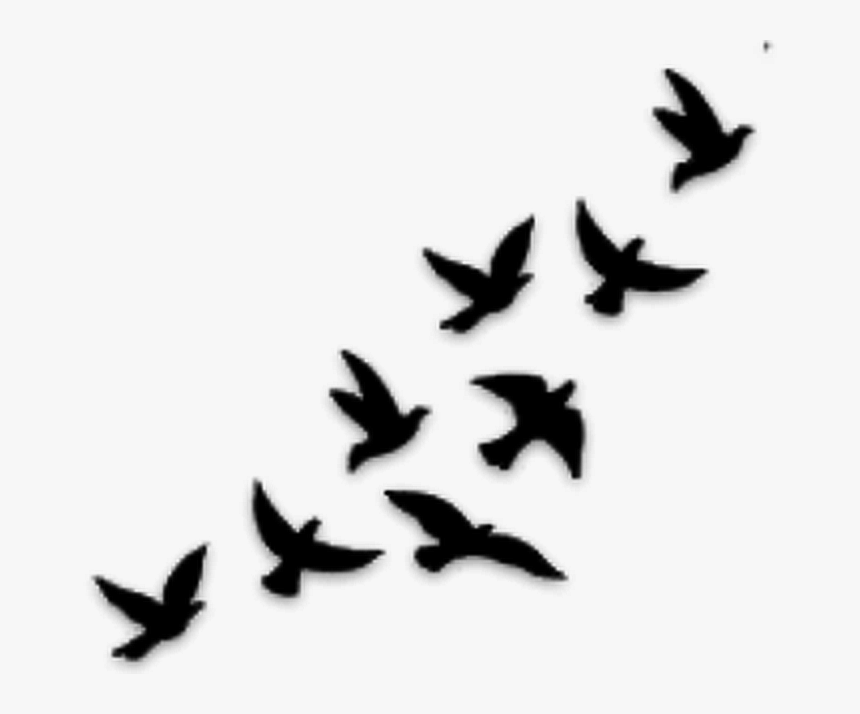 Thumb Image - Flying Birds Tattoo Designs, HD Png Download, Free Download