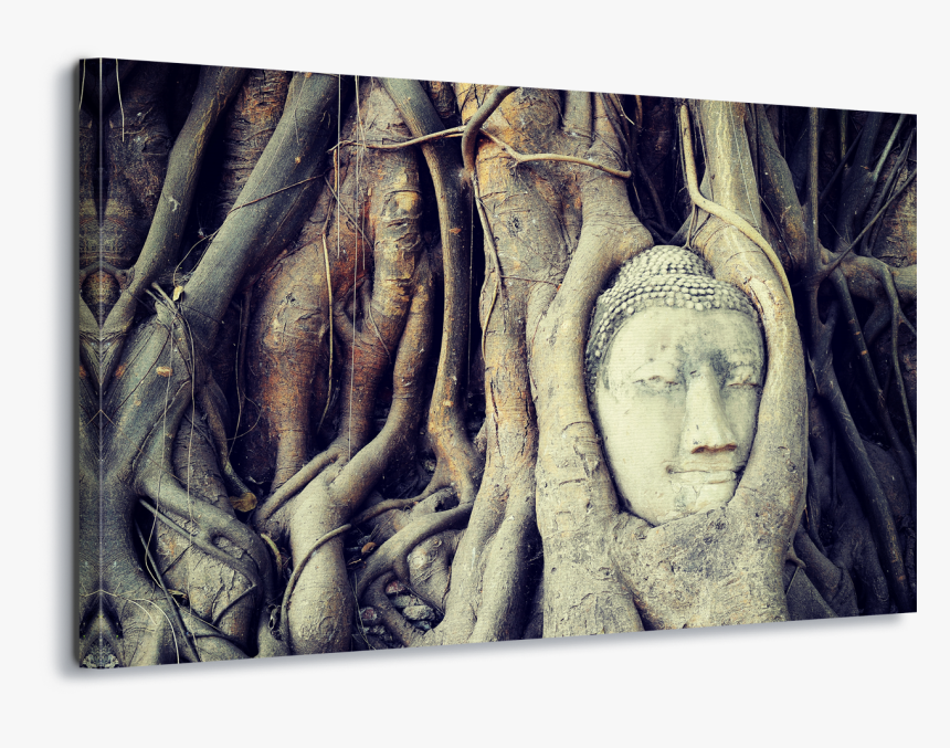 Buddha Tree Root Canvas Amp Glass Wall Art - Ayutthaya Kingdom, HD Png Download, Free Download