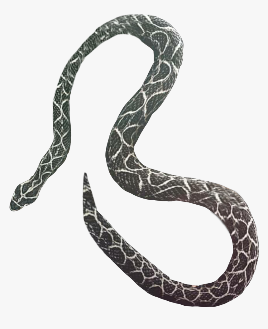 Vijay Mahar Snake Png, Transparent Png, Free Download