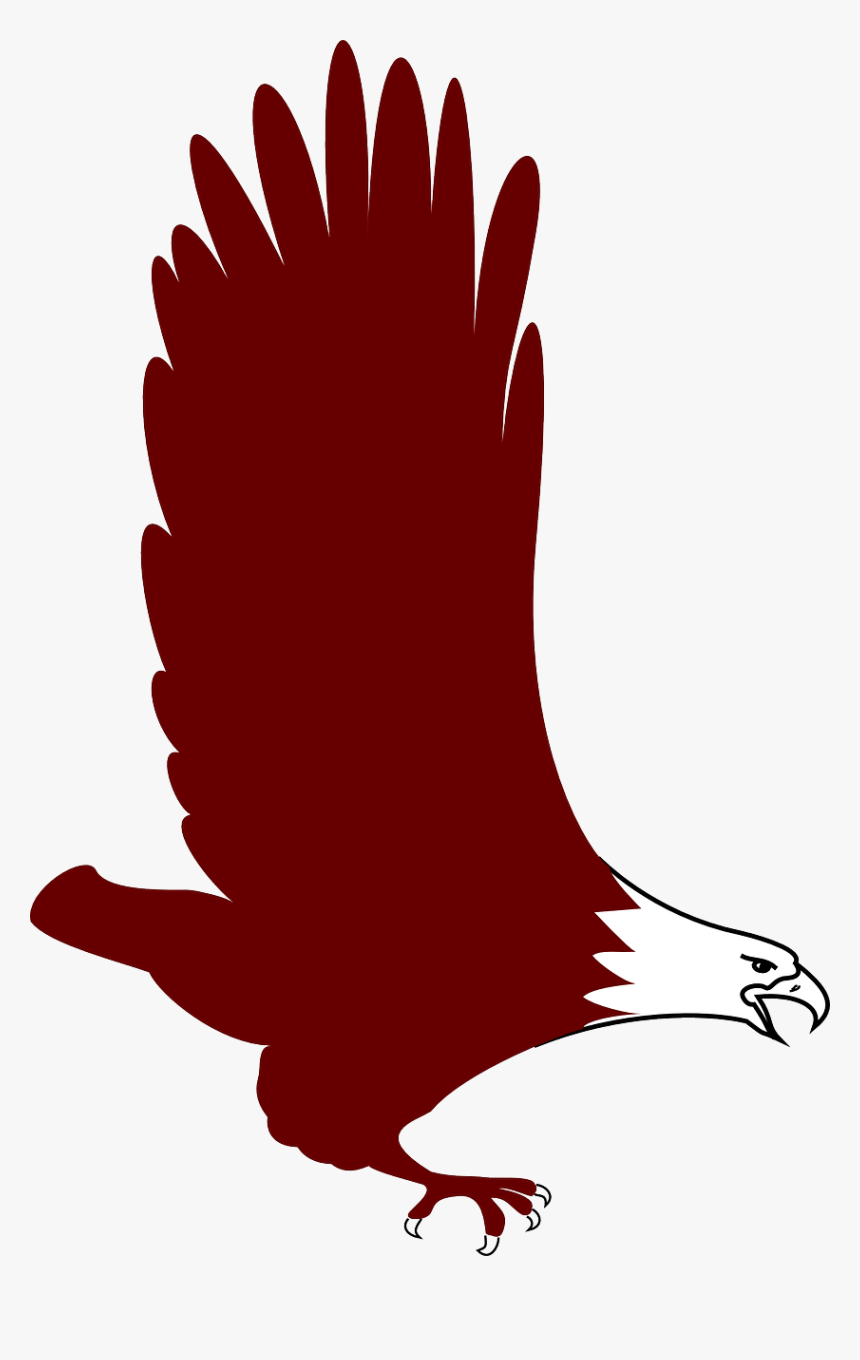 Eagle, HD Png Download, Free Download