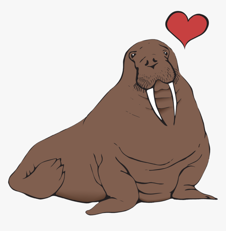 Walrus, HD Png Download, Free Download