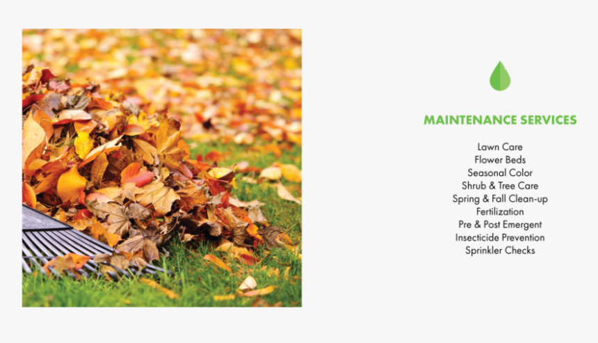 Maintenance Services 75 - Autumn, HD Png Download, Free Download