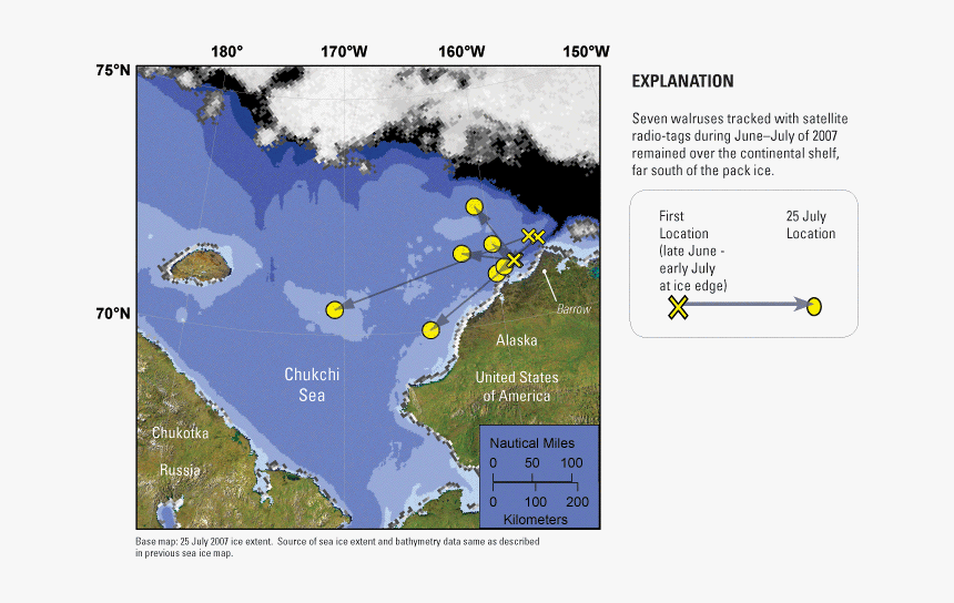 Map - Do Pacific Walrus Live, HD Png Download, Free Download
