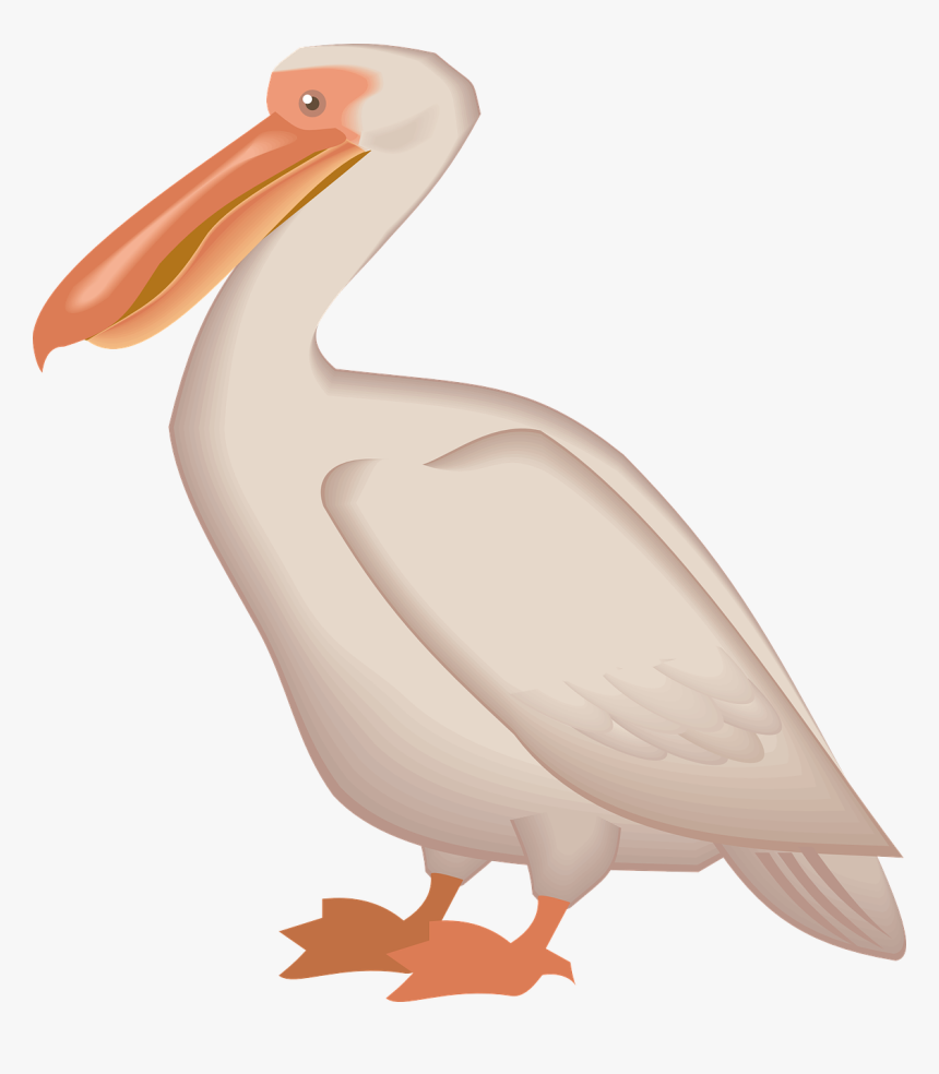 Brown Pelican Bird Clip Art - Pelican Clipart Transparent, HD Png Download, Free Download