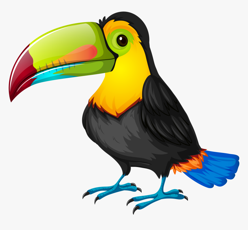 Toucan Silhouette At Getdrawings, HD Png Download, Free Download