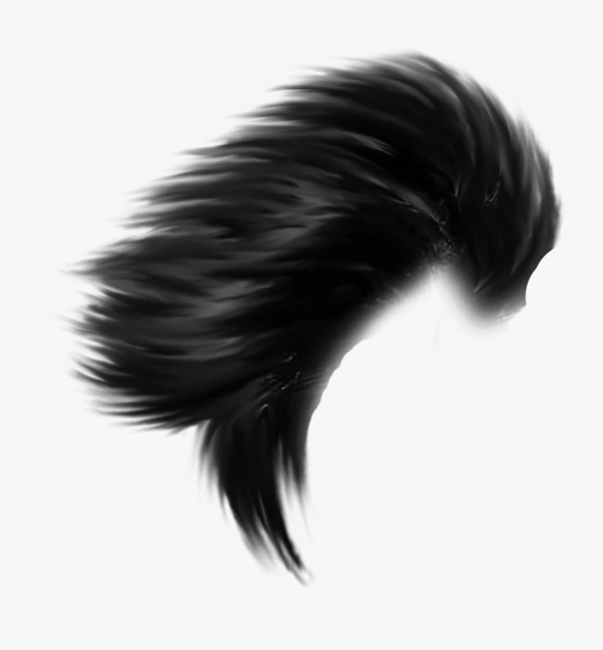Hair Png - Editing Png Hair Style, Transparent Png - kindpng Hair Png - Editing Png Hair Style, Transparent Png - kindpng