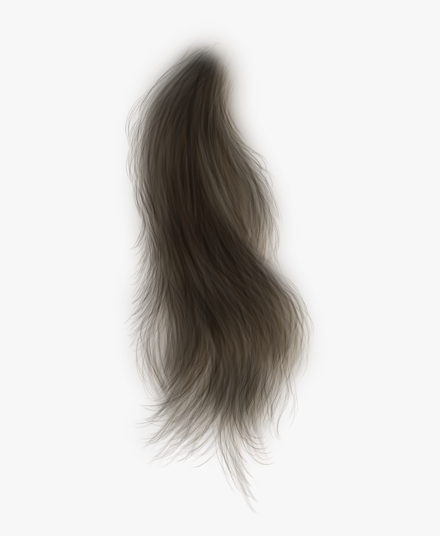 Photoshop, Hair Png, Doll Hair, Wigs, Hairstyles - Mechón De Pelo Png, Transparent Png, Free Download