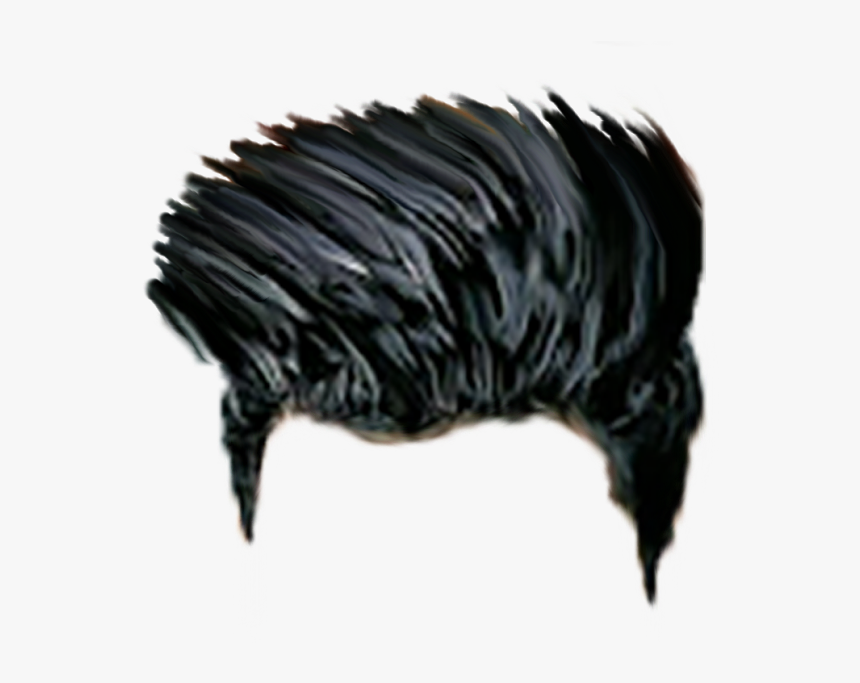 Png Hair Hd Boy, Transparent Png, Free Download