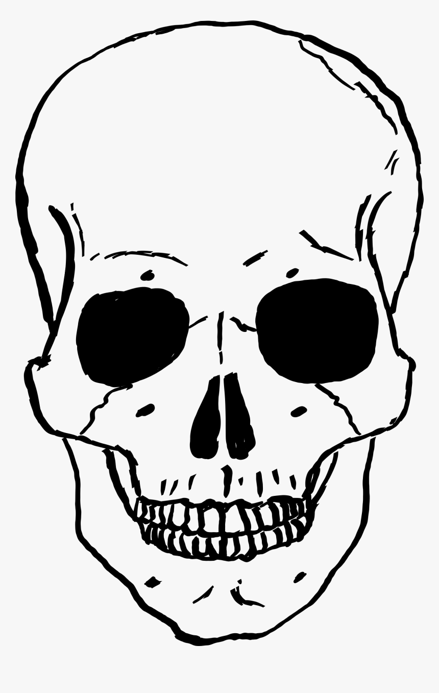 Skulls Clipart - Skeleton Skull Cartoon, HD Png Download, Free Download