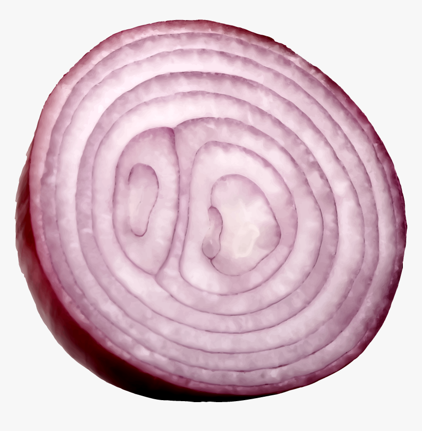 Slice Onion Png - Onion Cut Png, Transparent Png, Free Download