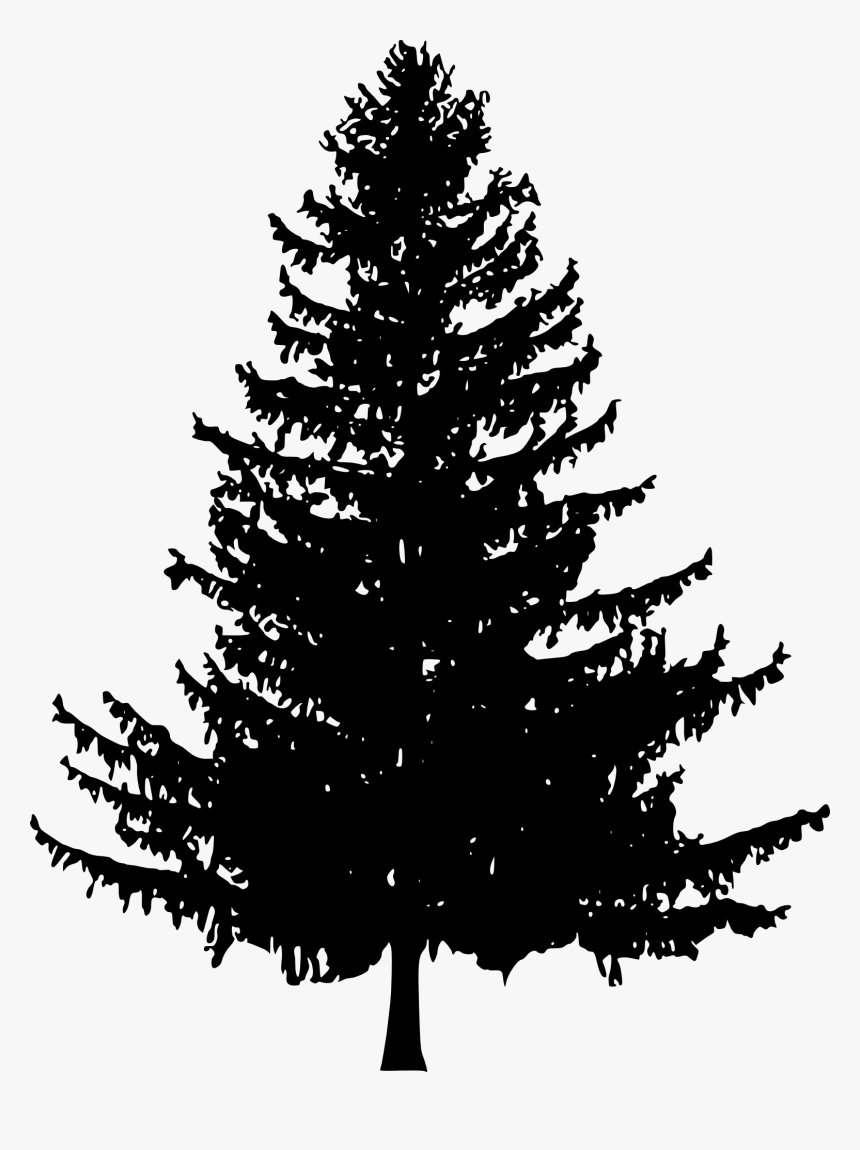 Pine Trees Silhouette Png, Transparent Png, Free Download