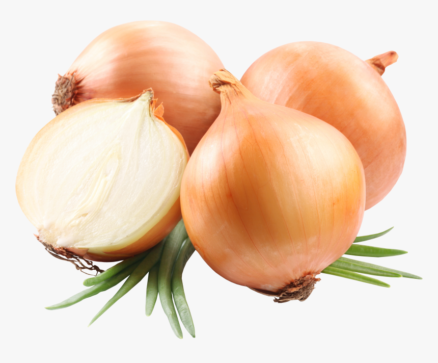 Onion Png, Transparent Png, Free Download