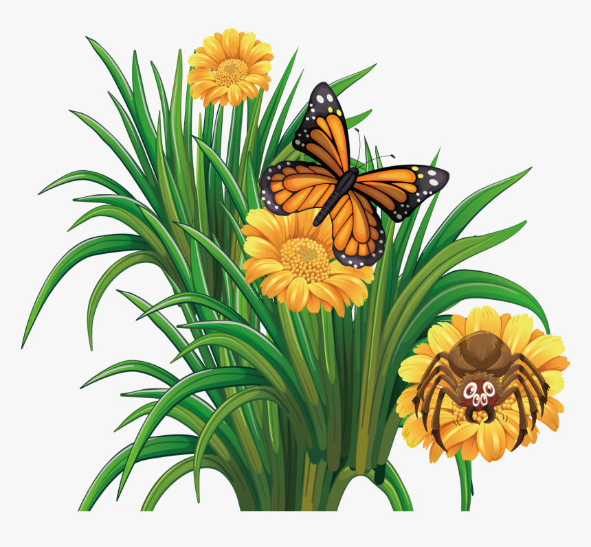 Monarch Butterfly Flower, HD Png Download, Free Download