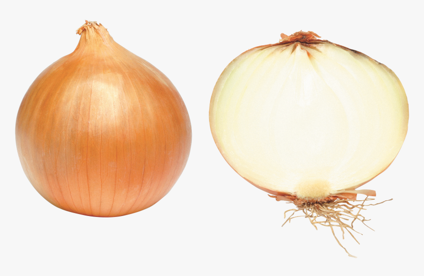 Yellow Onion Png, Transparent Png, Free Download