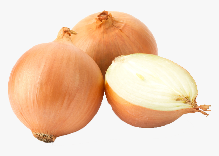 White Onion Yellow Onion Garlic Red Onion Scallion - Onion Png, Transparent Png, Free Download