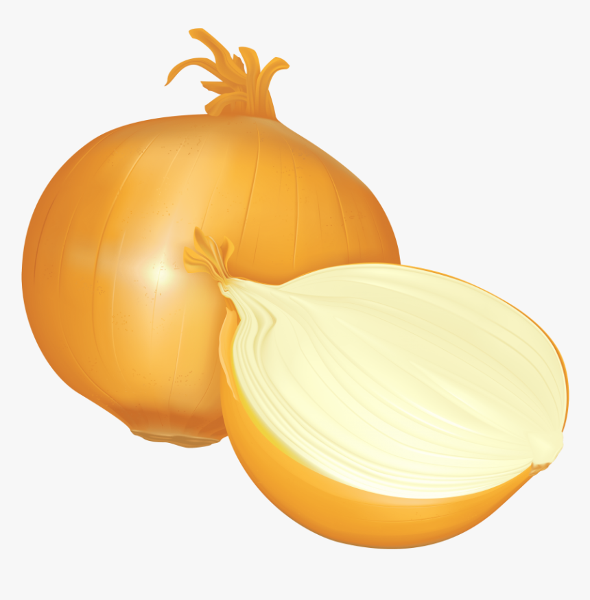 Onion Clipart Onion Slice - Onion Clipart, HD Png Download, Free Download
