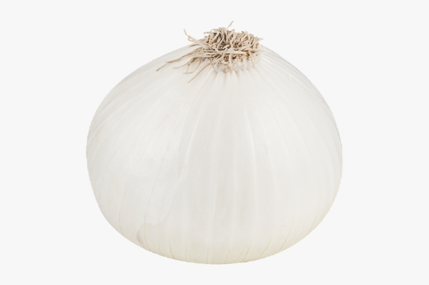 White Onion Png File - White Onion, Transparent Png, Free Download