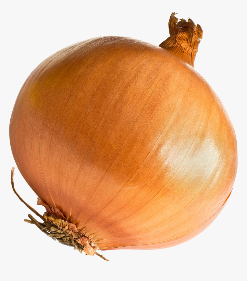 Onion Png Free Download - Onion Png, Transparent Png, Free Download