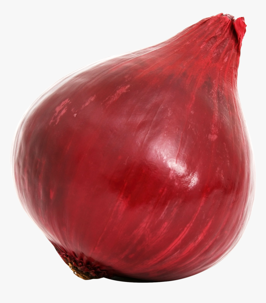 Onion, HD Png Download, Free Download