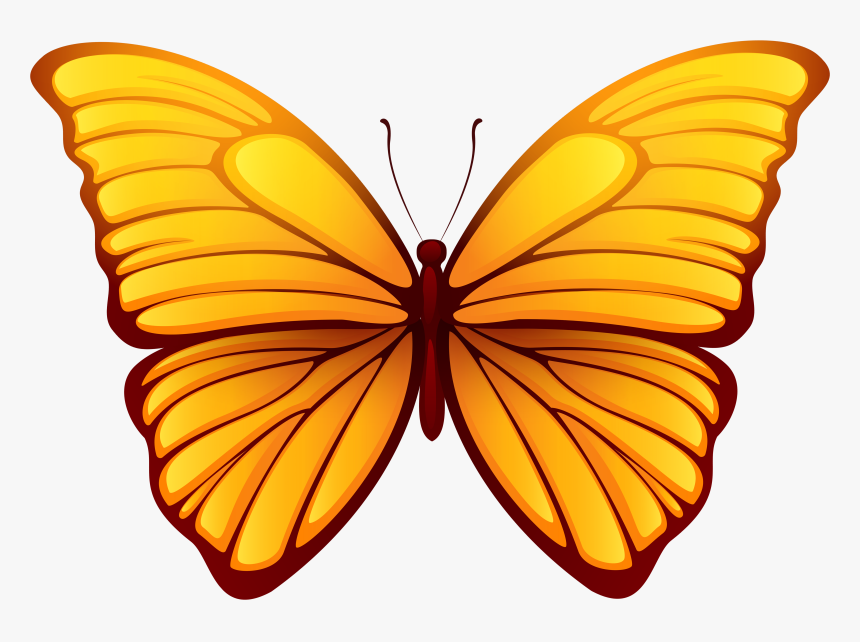 Butterfly Png Clipart , Png Download - Transparent Background Butterfly Png, Png Download, Free Download