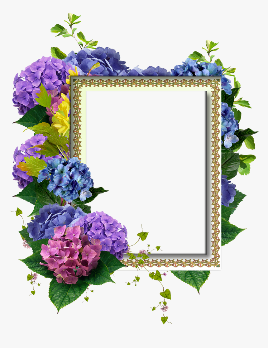 Marcos De Fotos Con Flores Png, Transparent Png, Free Download