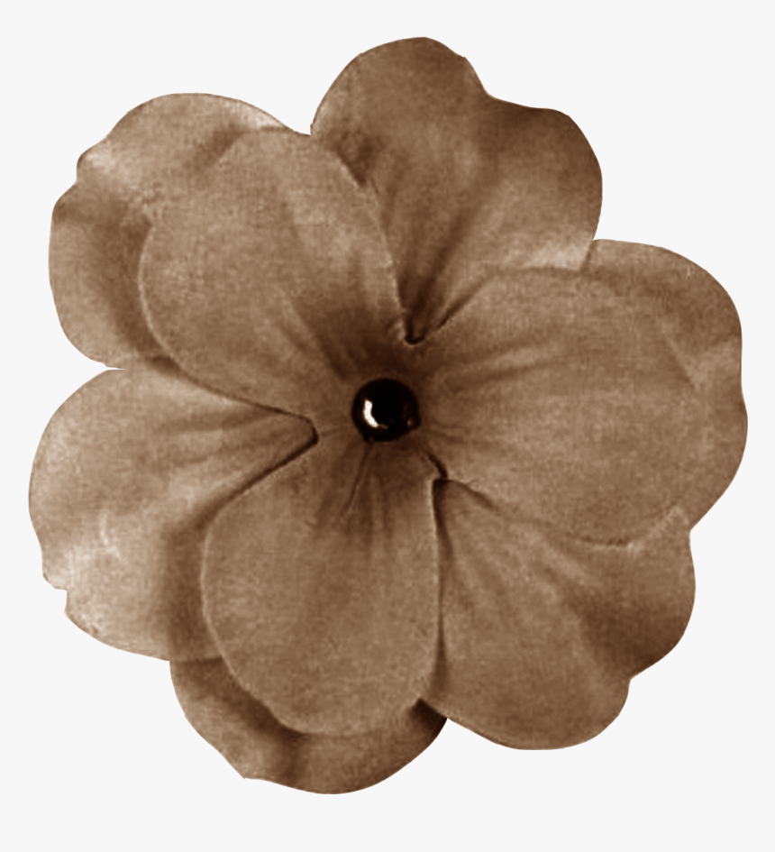 Brown Flower Png - Dark Red Flower Png, Transparent Png, Free Download